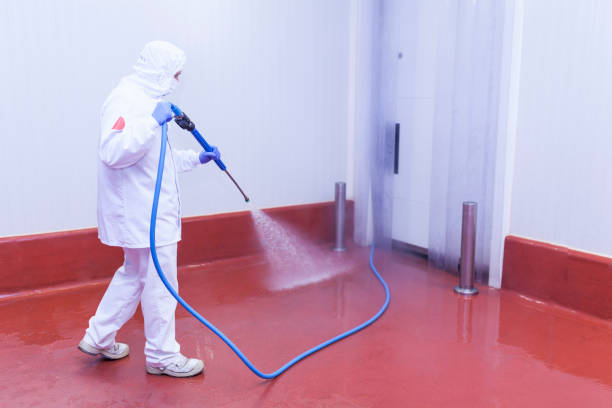 Best Window and Screen Pressure Cleaning in Haslet, TX